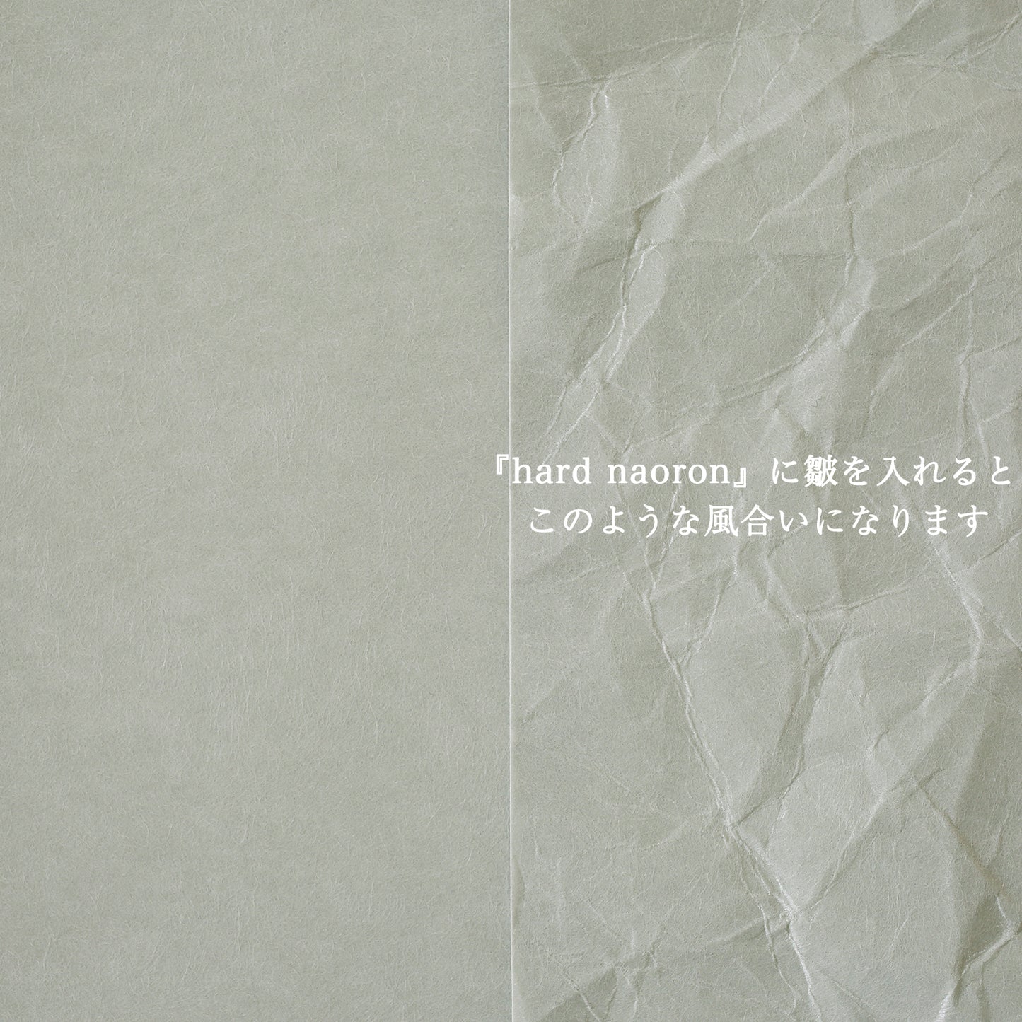 Hard naoron（ハードナオロン）｜A4 サイズ